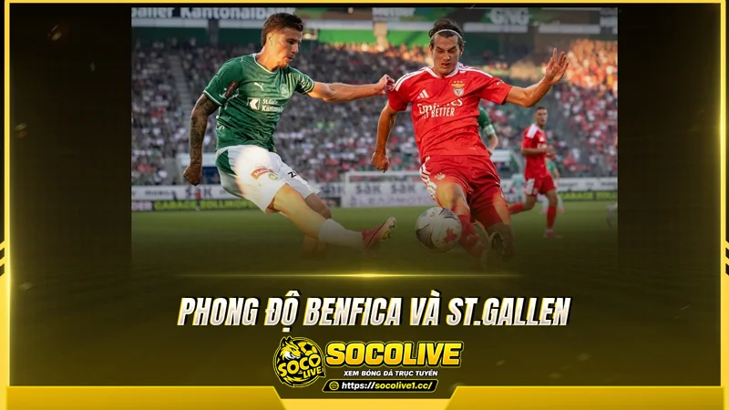 Phong độ Benfica và St.Gallen được Socolive TV tổng hợp Phong độ Benfica và St.Gallen được Socolive TV tổng hợp